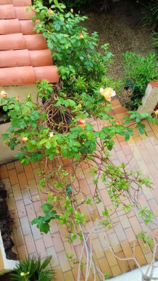 Maison Charmante A Sainte-Marie Avec Grand Jardin المظهر الخارجي الصورة